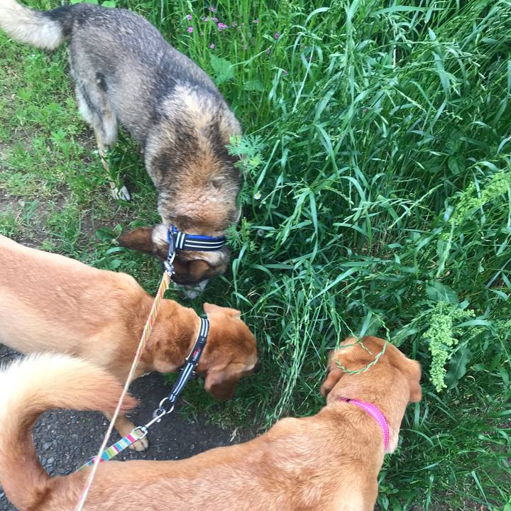 427055c6 9f7a 4e89 a858 1947c972d115 1557962770528