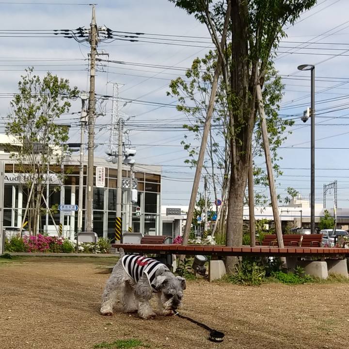 4270575e 9d99 481f 93cf 725a68adab07 1556638738245