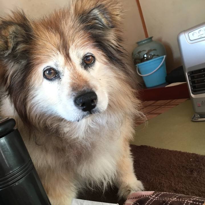 42706d16 7561 48d6 9738 99e06a4f7859 1586002059269