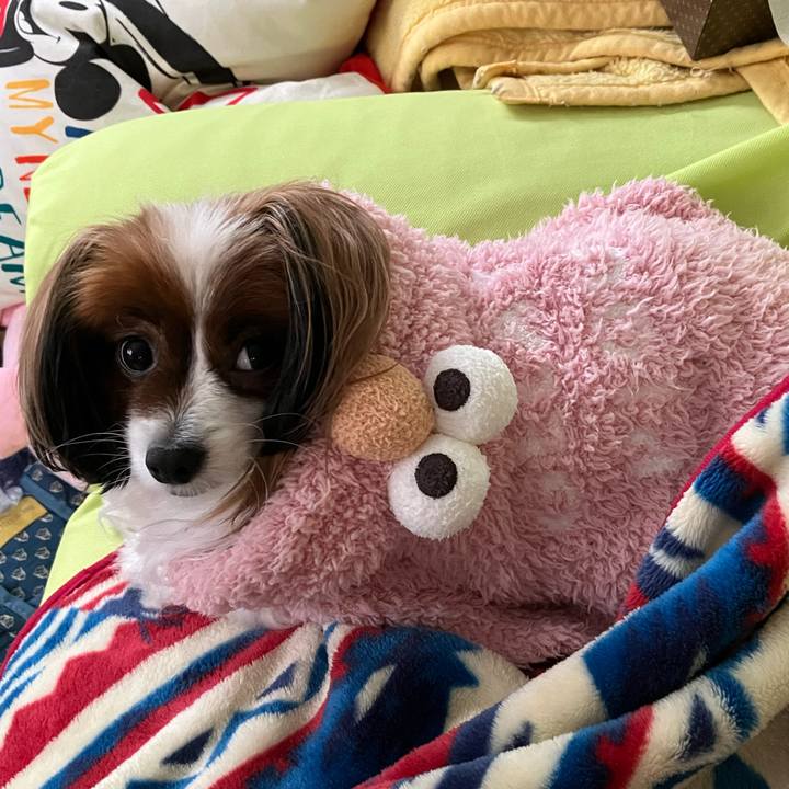 42708d2a 8480 4c60 a4ea 320bc16192ad 1736827217962