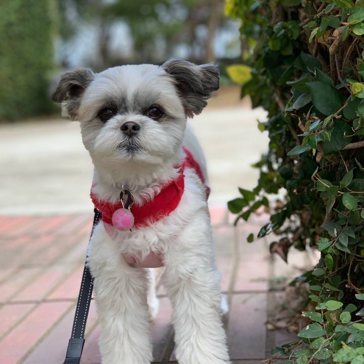 42712f4b e140 4599 93ba 4ff3b449483d 1549954812064