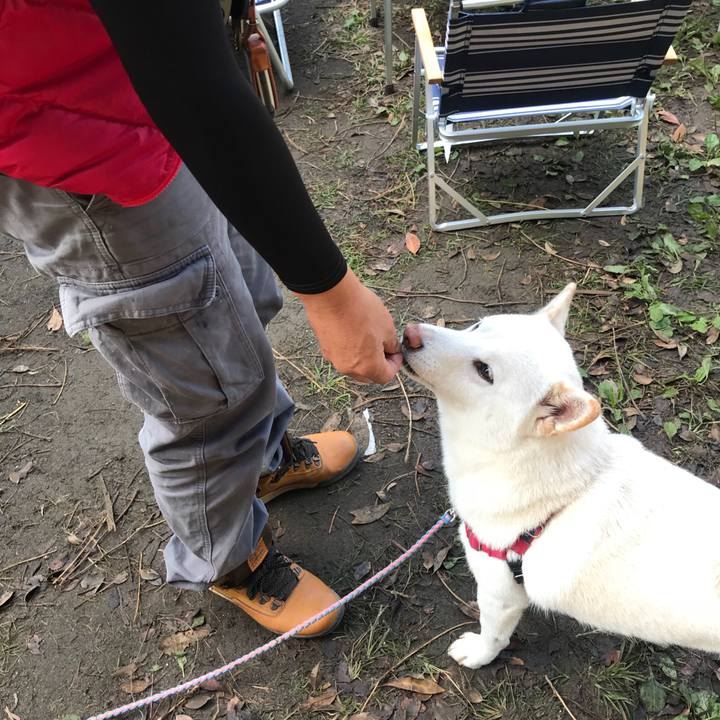 42713496 2f3f 4a79 87cb 933f842dc9e5 1540683363271