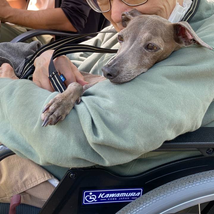 42713e24 8d20 4284 a70e 27a8bb870225 1760004802803