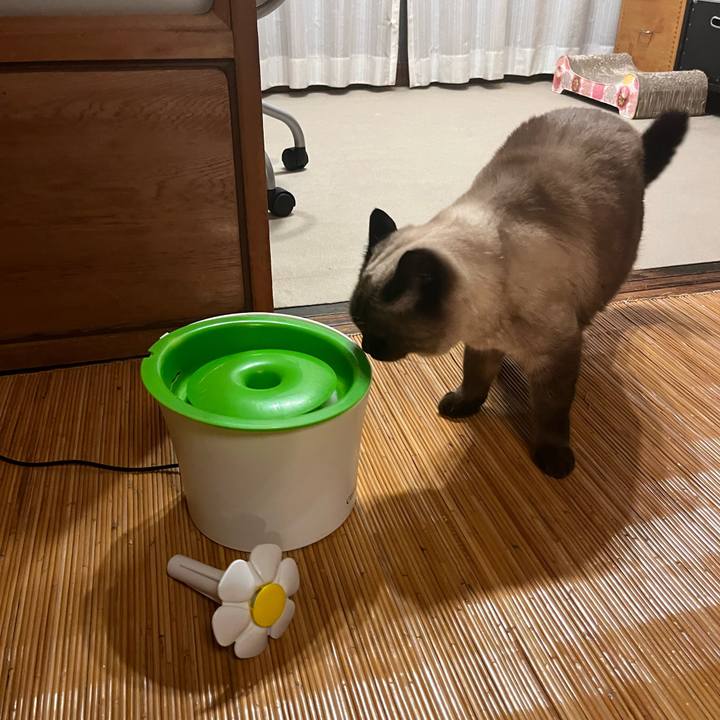 42714df6 10ec 47e1 9f18 3dd15baf1d59 1639048178428