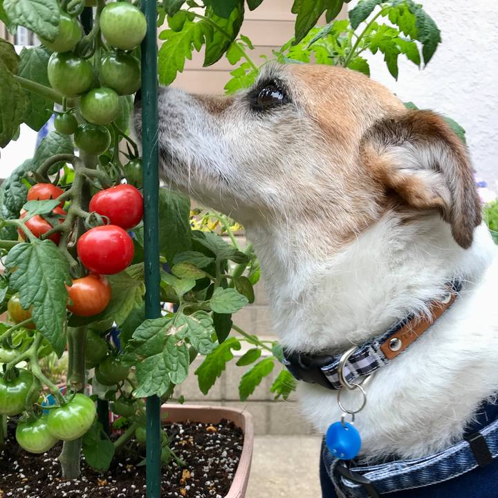 4271e62c 0323 4d0a 8aa9 b714748f71a3 1655202909881