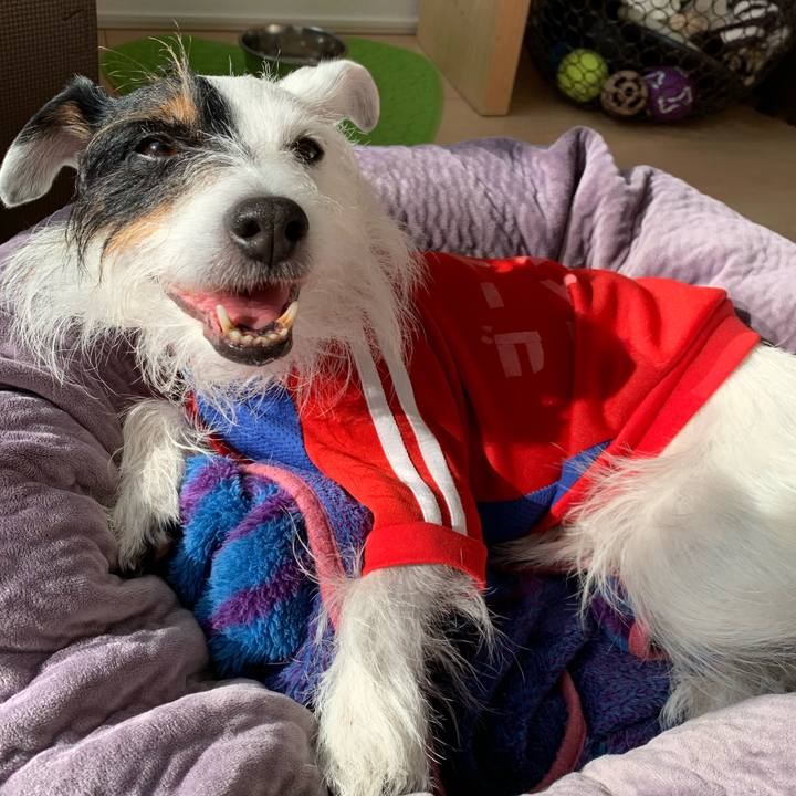 4271f5d0 85f1 4d78 aebd d6f0552da60d 1643776990248