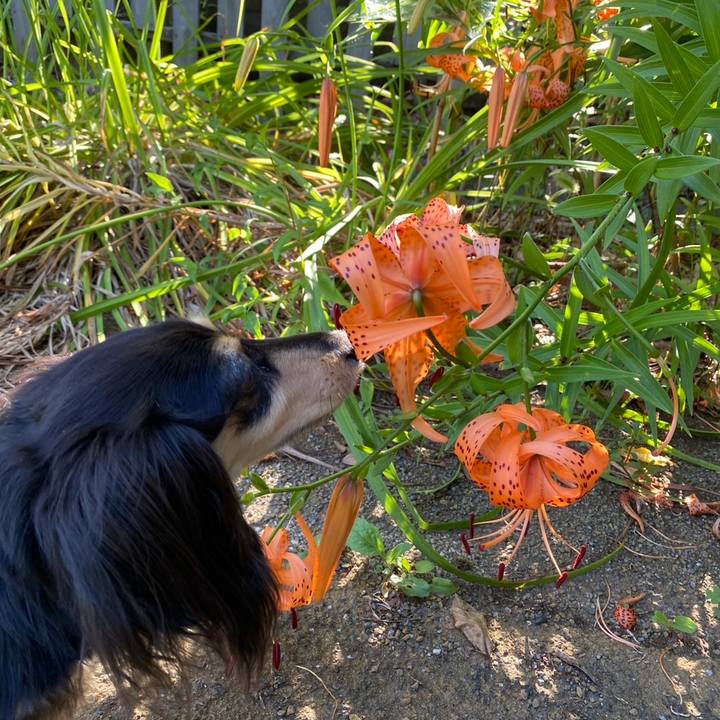 4271f6fb 826d 4448 9e10 197e8f810ef9 1752904866494