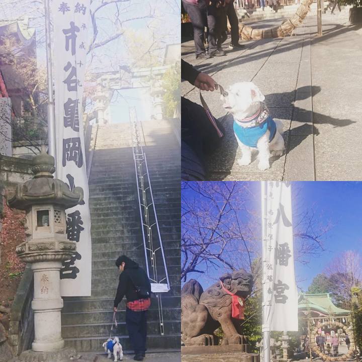 42722830 e6de 47c3 9d88 6702c9199026 1673086622396