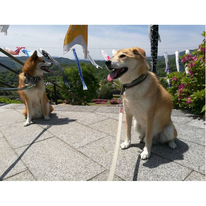 427242de 0678 4f8c 9cbd e4ede4ddec3d 1525076315585