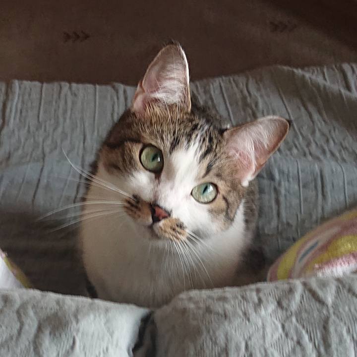 42728153 b1de 42d0 93c8 499c14df71ed 1663287179416