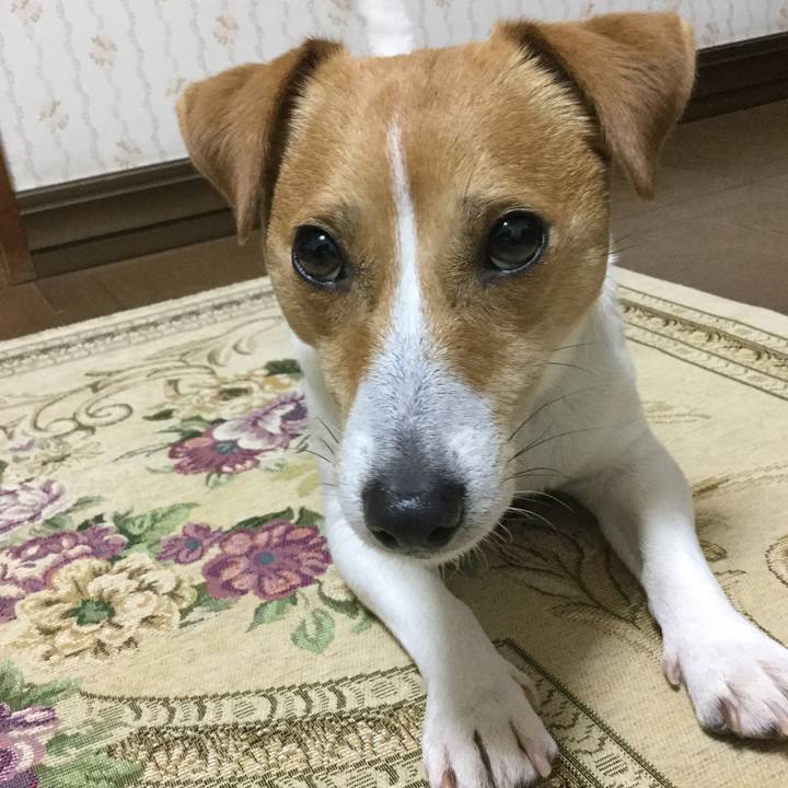 42728d61 e153 405c ac0c a6ffbaea5f34 1554460450636