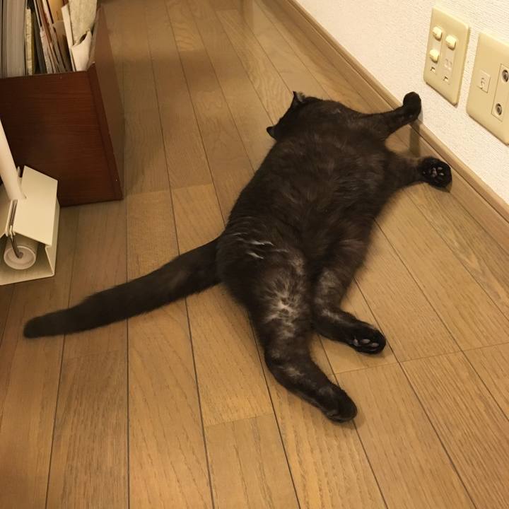 4272af87 ee15 4f20 a88a d053bd34710f 1513654454891