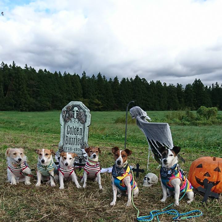 4272d6a6 a281 4432 a897 660c68b03711 1602399634992