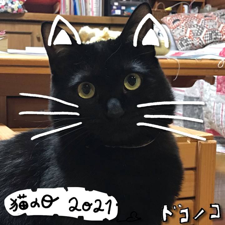 42735c56 f137 48e7 8f34 37a211eab13c 1613999157053