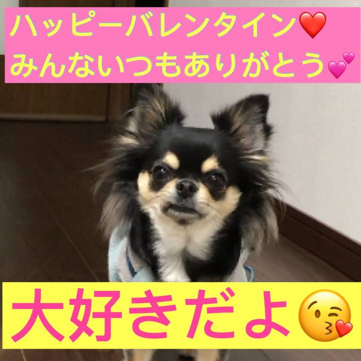 42736772 9ee2 4d5b a894 bc213bf82580 1581634257056