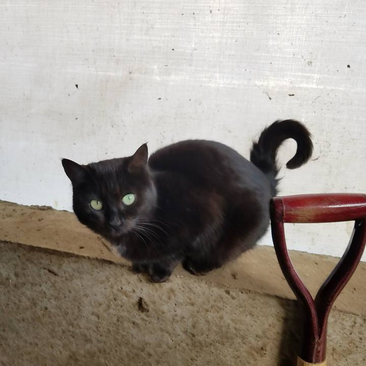 42738deb a9c8 4bfb a047 ac602b27a9ef 1521937262965