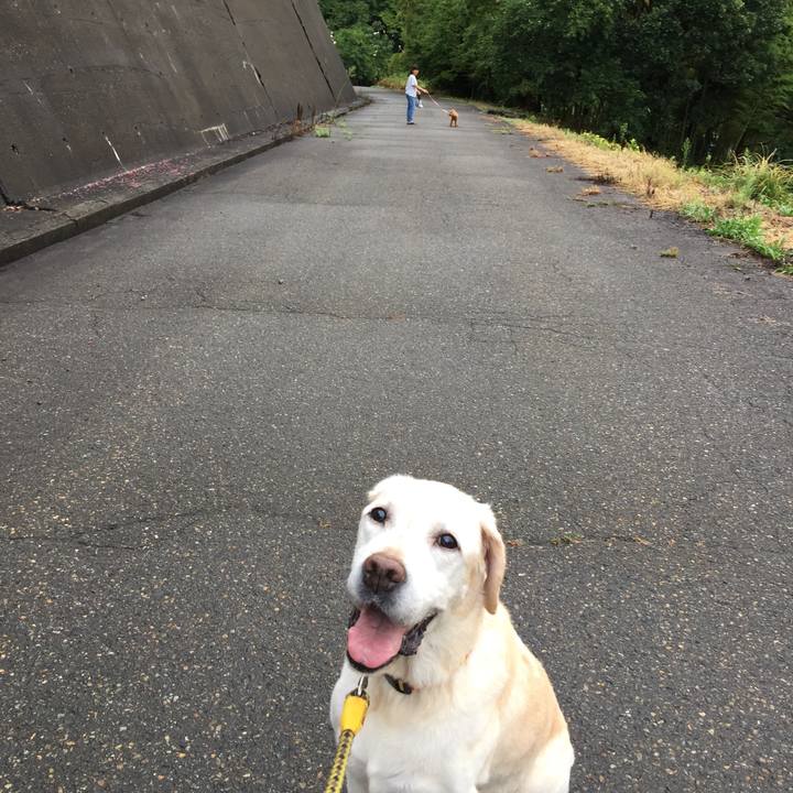 4273c05e acb4 4af6 8ec9 0b1568f0aaf9 1535491598686