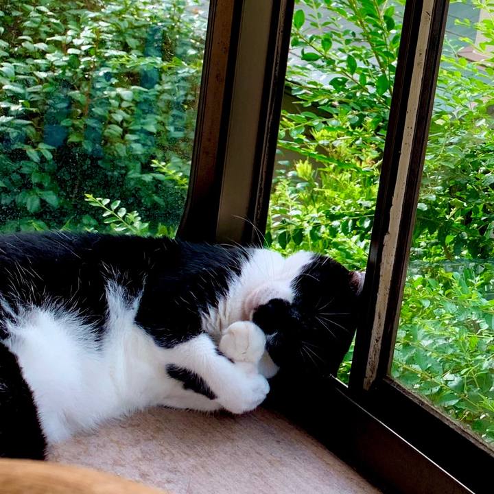 4273d62e 48e5 46ec 8845 4dfaeb872ec6 1598568722467