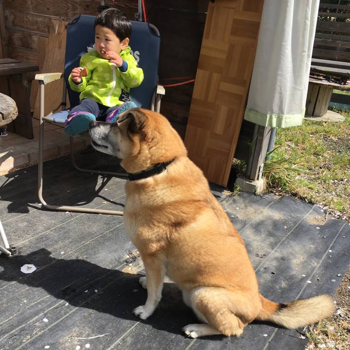 4273d641 fe82 4bf4 b4cf 8aeb47b32463 1523154770921