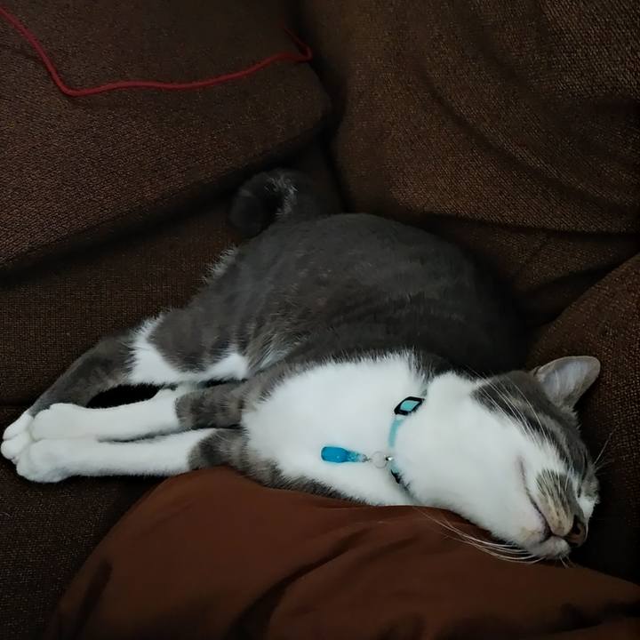 427400eb 95c7 4f22 9ce9 79edc8c3833a 1594708491025