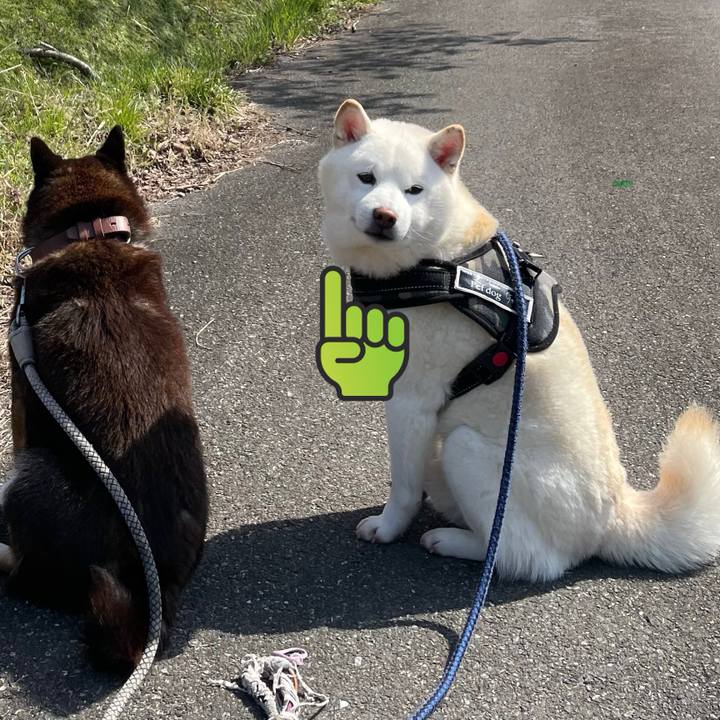 427489fd 2f51 4c00 af82 a1b48731ffff 1750790335457