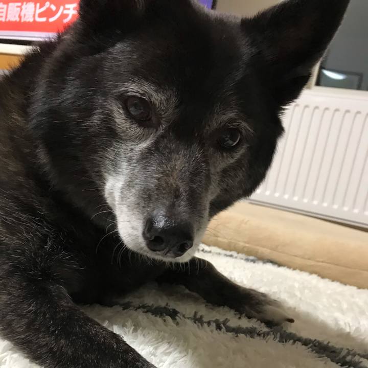 42749b7b 622f 4c2b 8298 ce0befb0b10a 1581258360437