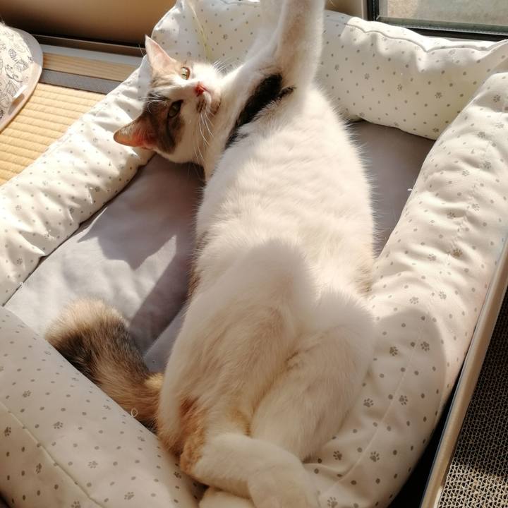 4274f27e 7966 4177 9c82 4e6f116ce1c6 1557647111877