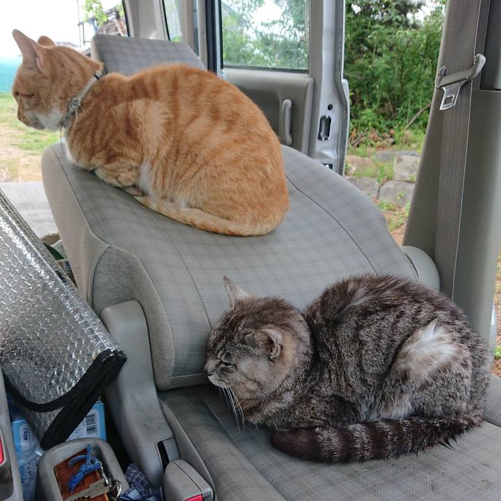 42753253 7afc 4814 bf89 dbe20ad2ee40 1592858221157