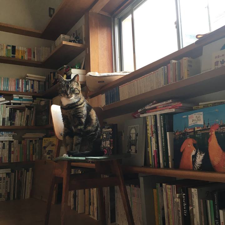 42756217 11f0 41e4 a2a0 b913b1082f30 1561508765792