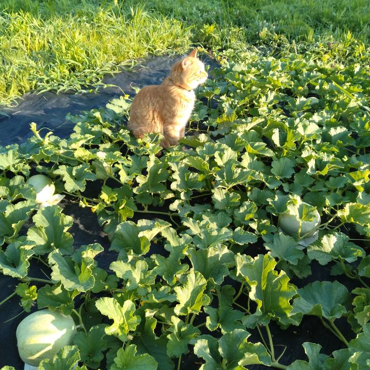 427572a1 9503 415b 8daa aa9ac854390c 1691189904828