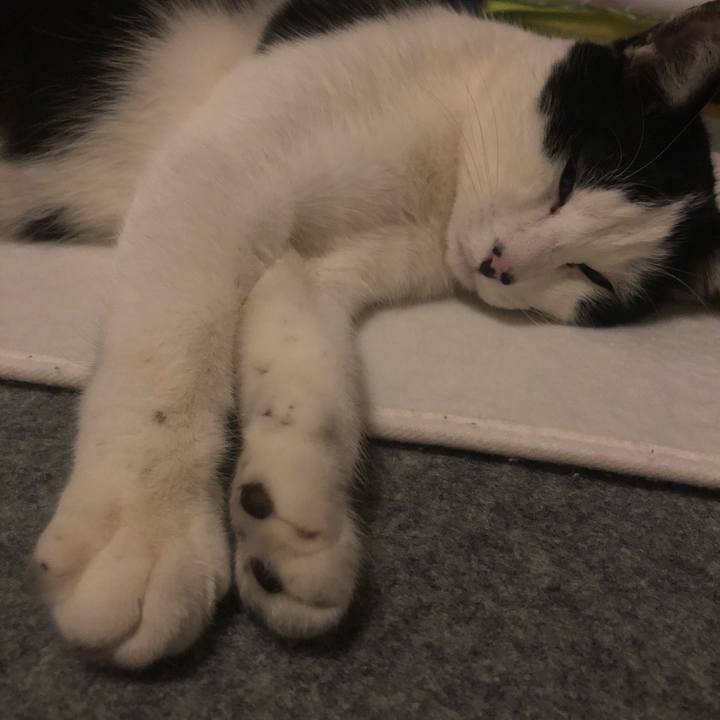 42757a56 c195 4167 8e46 3bb3781017da 1546358051391