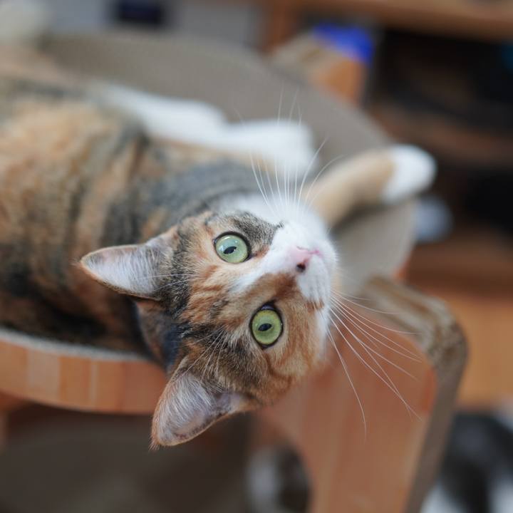 4275951f 34b7 4b99 af4c 810c869c7f10 1624541537887