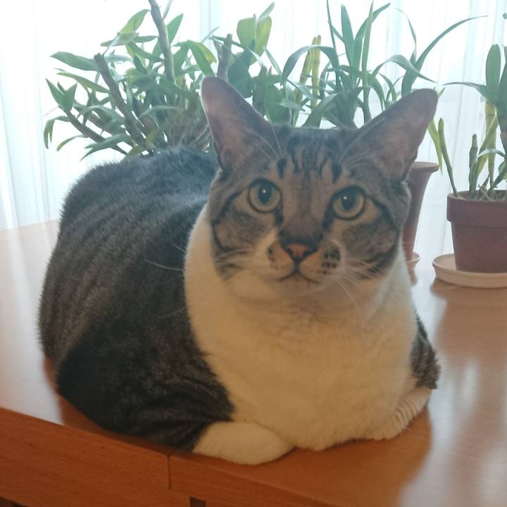 4275fcf0 43dd 4963 8eb3 76990bdae274 1579309664813