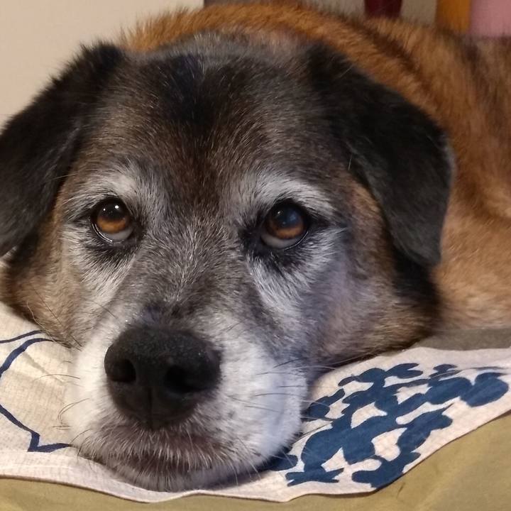 42760334 0b4a 4a26 a9cc 4f0e1090cee2 1561969024250