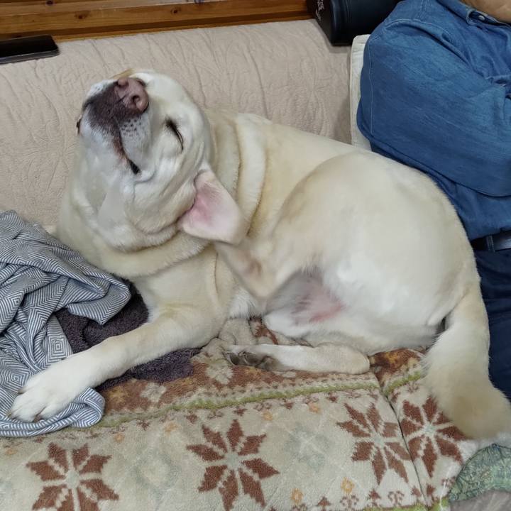 42761639 a688 40ab bdc1 d0befcbf54fc 1711629855636