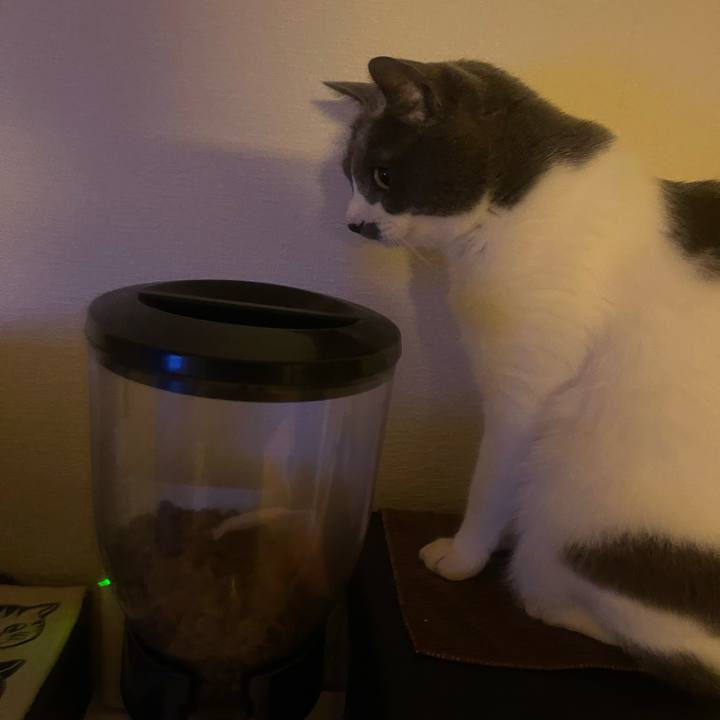 42762209 19cd 42a9 b271 693e96f1e5f4 1740174825214