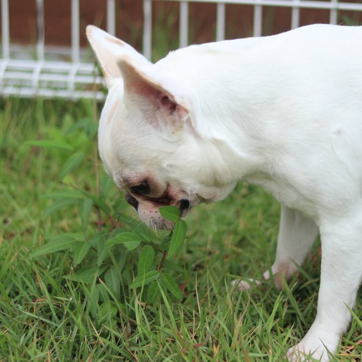 42764574 e755 4e6d b745 5ad1796227ea 1510233053790