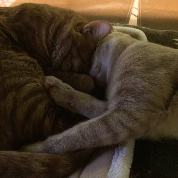 4276499b ddd8 4ac1 b18d 8a42f834d0f1 1549539915247