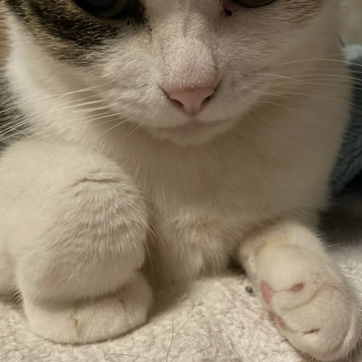 427677f1 d6d5 432b 8f05 94bc555d39fc 1641564142491