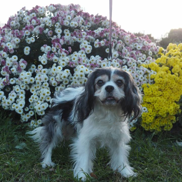 42767f4d fb6c 481c b940 d17272d000cf 1542955350965