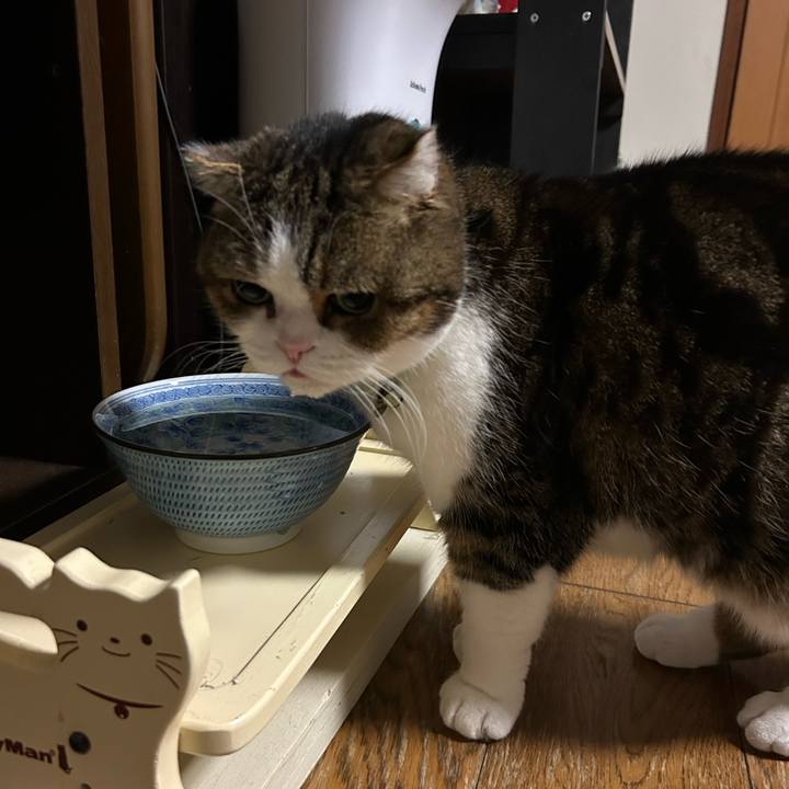 42769ef5 4e05 4f28 a986 59bc8426f7af 1768943136674