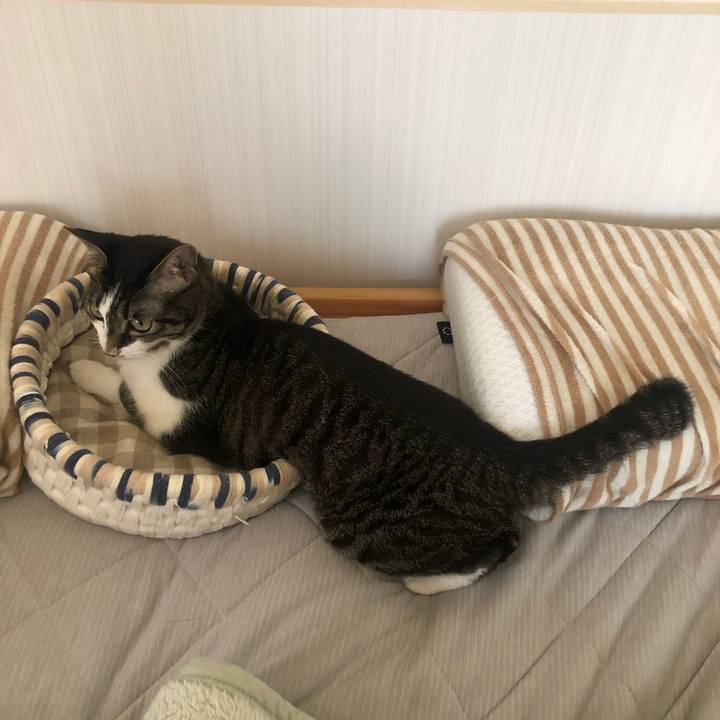 4276ab7d b5be 4df1 ad28 13ccbf21f8e3 1589684820927