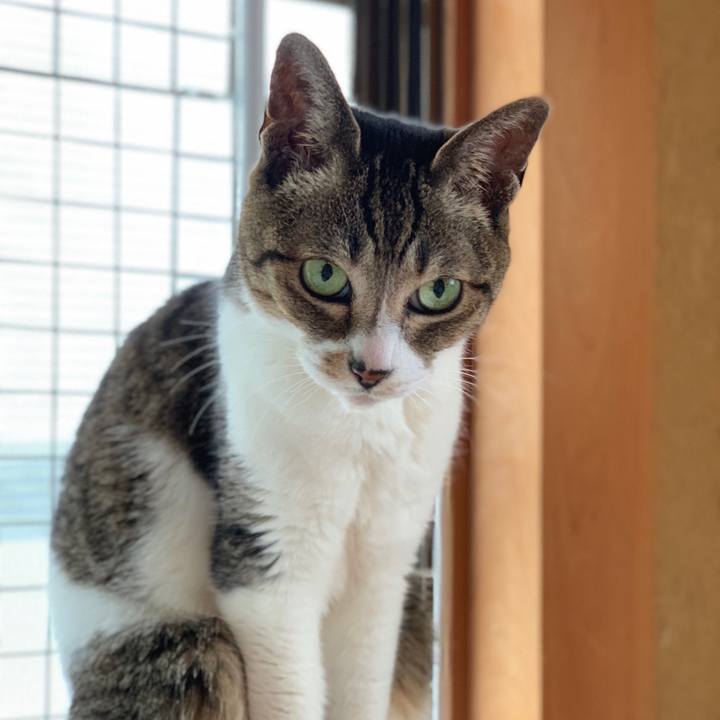 4276d45c f378 4f56 b14d 8f13de0832f6 1590109302304