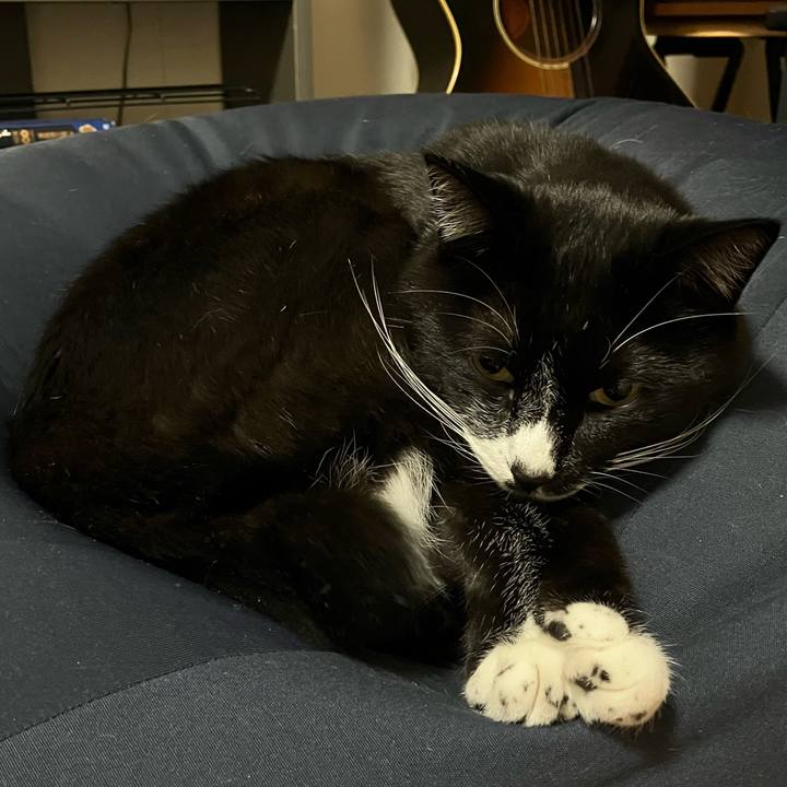 4276e78a affc 4c8c a7cc ef770e77acba 1670556903427