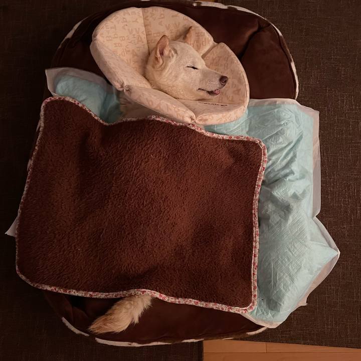 42771202 4198 4ebf 8e5c ee34d9e16514 1667426898735