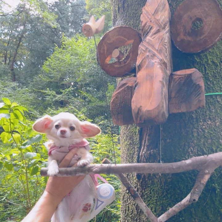 42776b33 b748 4c2c 9474 d068fdb2afdd 1694424797919