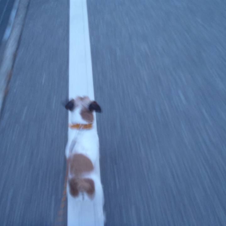 42777543 3f94 4961 b7ef 311cdc58bbdd 1532435328063