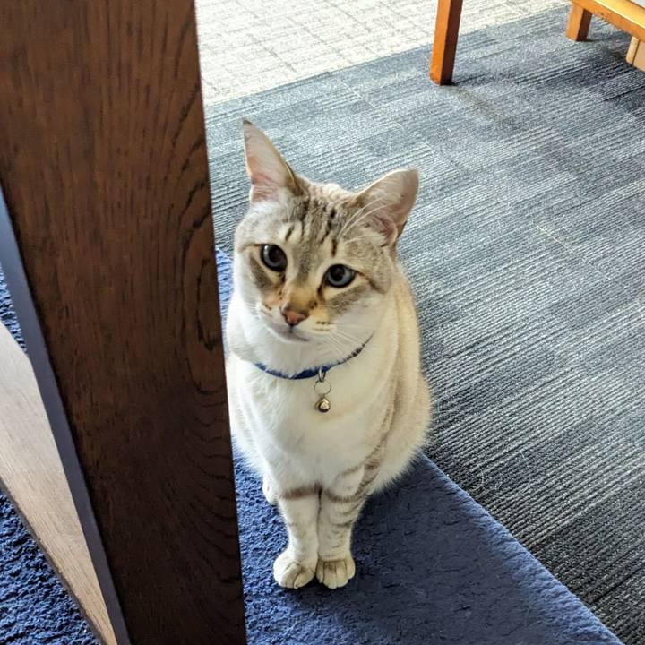 4277d7f5 b898 4705 91de fe9b189ec7e1 1775254481676