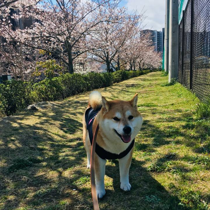 4277dd8a ad46 4a82 8c10 dd6f19fd5548 1772791072967