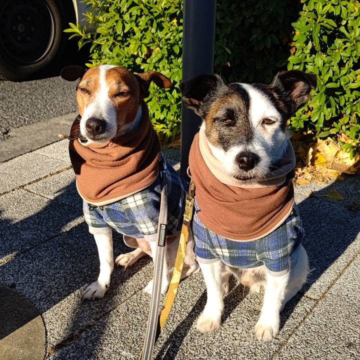 4277fbc2 6fef 48e4 99b8 86348db4649c 1704506093399